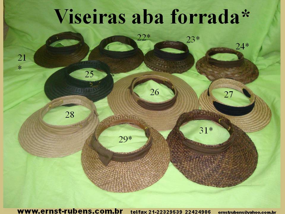 COLEO 2014a3viseiras.jpg